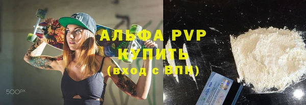 гашик Дмитриев