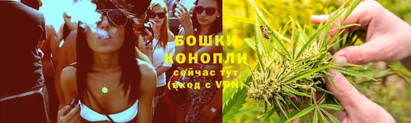 гашик Дмитриев
