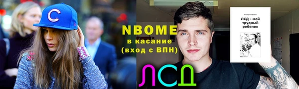 стафф Елизово