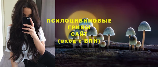 mdpv Ельня