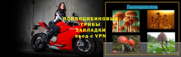 стафф Елизово