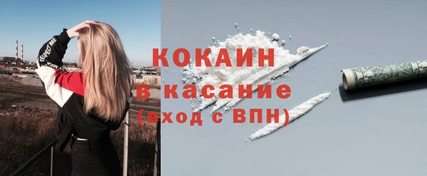 гашик Дмитриев
