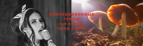 гашик Дмитриев
