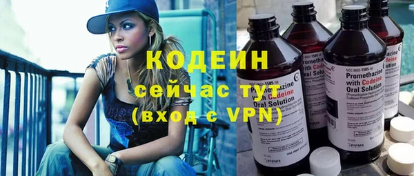 гашик Дмитриев