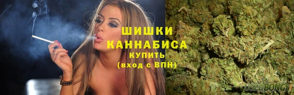 гашик Дмитриев