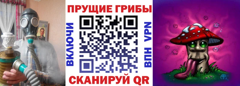 Псилоцибиновые грибы Psilocybe  купить наркотик  нарко площадка формула  Сенгилей 